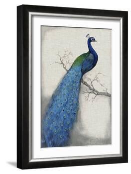 Peacock Blue I-Tim O'toole-Framed Art Print