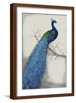 Peacock Blue I-Tim O'toole-Framed Art Print