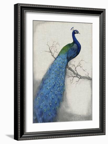 Peacock Blue I-Tim O'toole-Framed Art Print