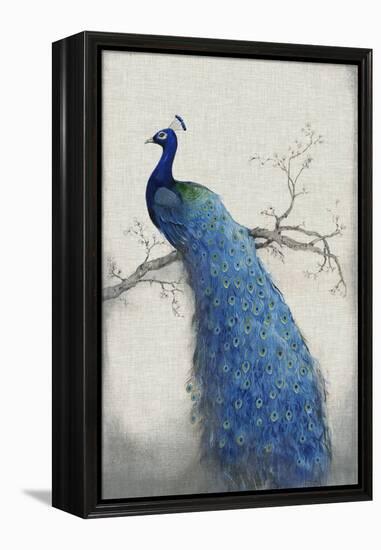 Peacock Blue II-Tim O'toole-Framed Stretched Canvas