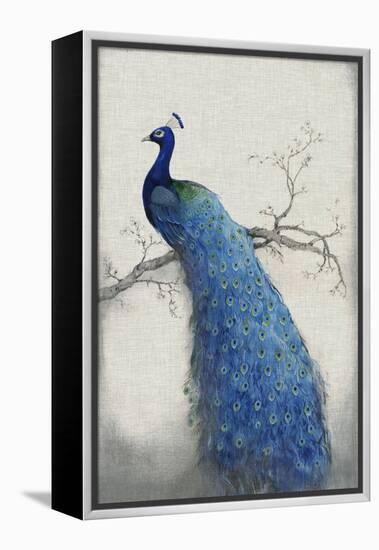 Peacock Blue II-Tim O'toole-Framed Stretched Canvas