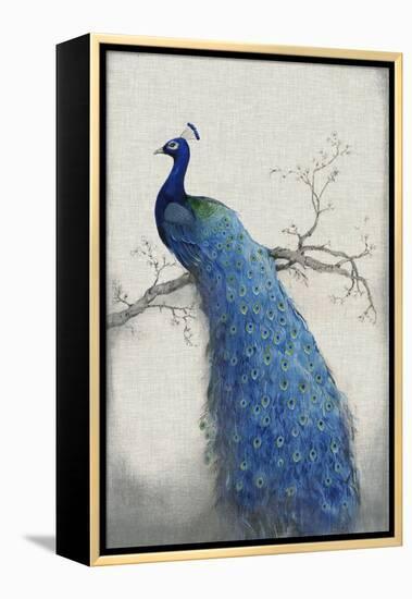 Peacock Blue II-Tim O'toole-Framed Stretched Canvas