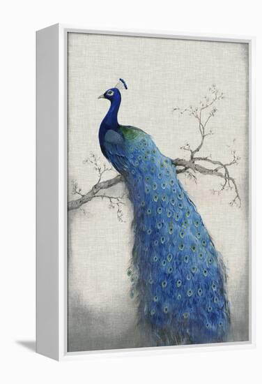 Peacock Blue II-Tim O'toole-Framed Stretched Canvas