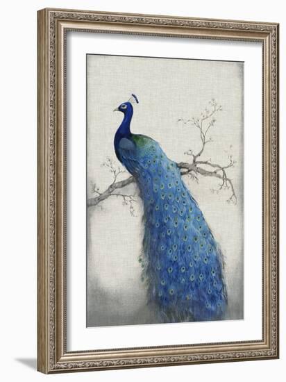 Peacock Blue II-Tim O'toole-Framed Premium Giclee Print