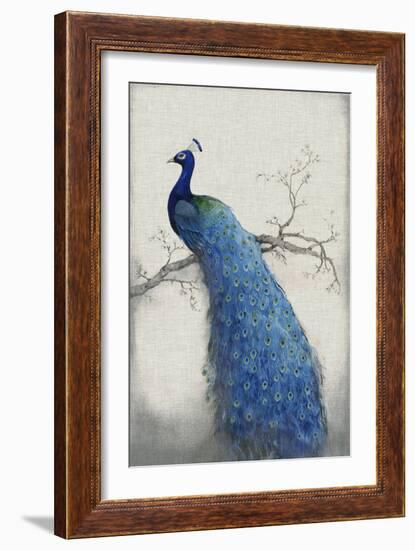 Peacock Blue II-Tim O'toole-Framed Premium Giclee Print