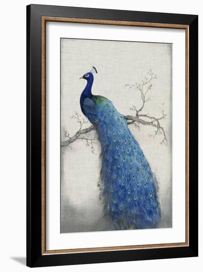 Peacock Blue II-Tim O'toole-Framed Premium Giclee Print