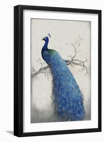 Peacock Blue II-Tim O'toole-Framed Premium Giclee Print