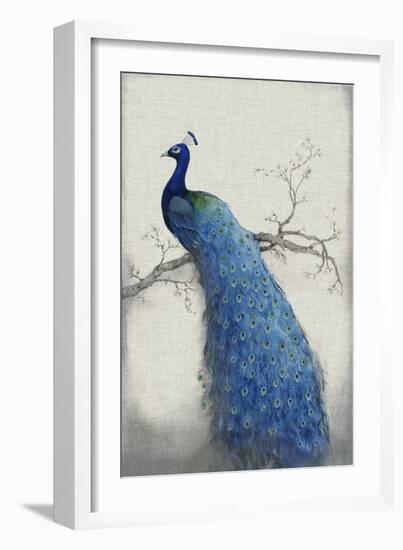 Peacock Blue II-Tim O'toole-Framed Premium Giclee Print