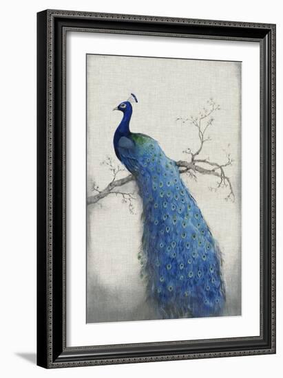 Peacock Blue II-Tim O'toole-Framed Premium Giclee Print