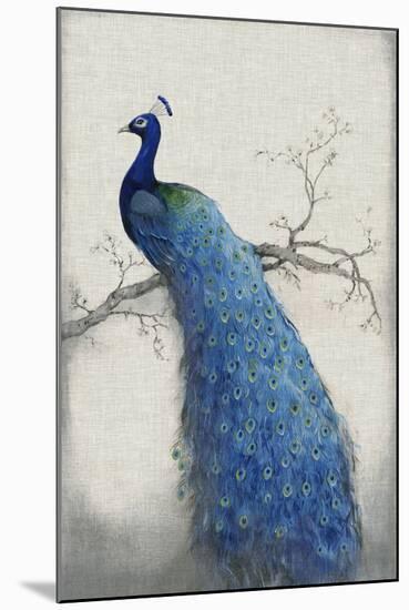 Peacock Blue II-Tim O'toole-Mounted Premium Giclee Print