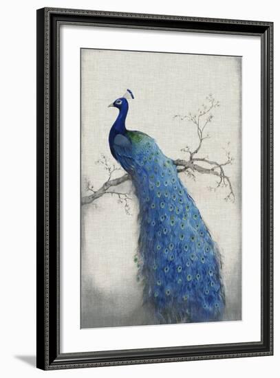 Peacock Blue II-Tim O'toole-Framed Art Print