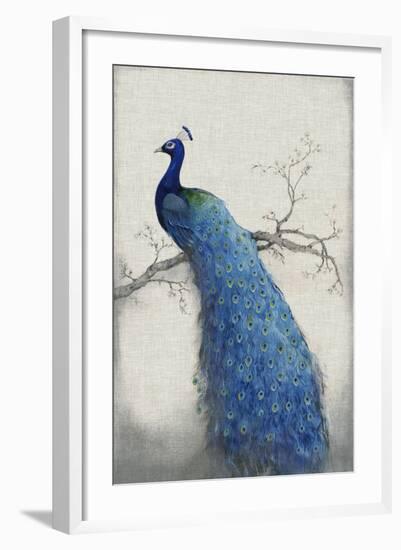 Peacock Blue II-Tim O'toole-Framed Art Print