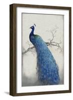 Peacock Blue II-Tim O'toole-Framed Art Print