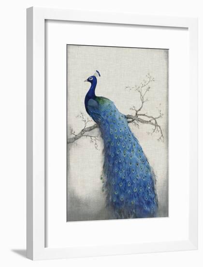 Peacock Blue II-Tim O'toole-Framed Art Print