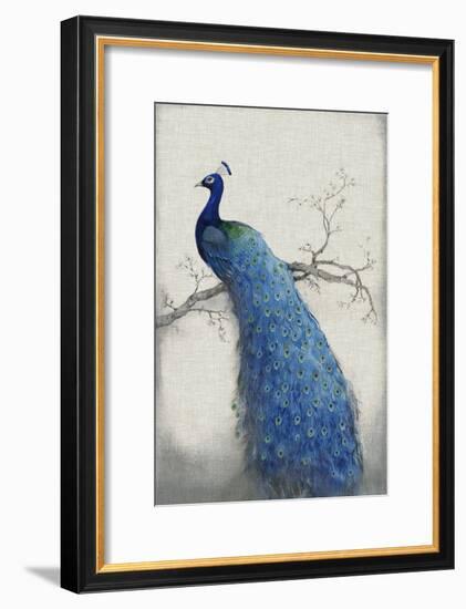 Peacock Blue II-Tim O'toole-Framed Art Print