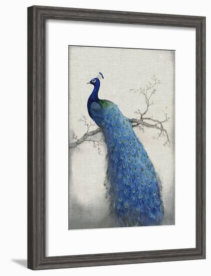 Peacock Blue II-Tim O'toole-Framed Art Print