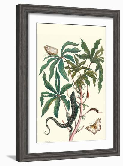 Peacock Butterfly with a Lizard-Maria Sibylla Merian-Framed Art Print