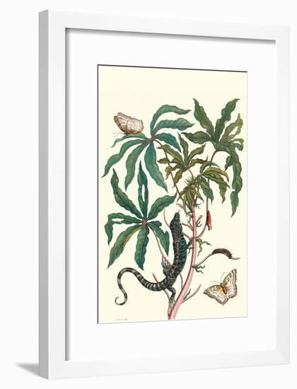 Peacock Butterfly with a Lizard-Maria Sibylla Merian-Framed Art Print