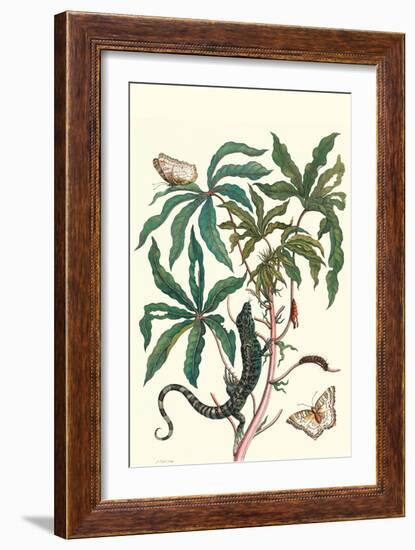 Peacock Butterfly with a Lizard-Maria Sibylla Merian-Framed Art Print