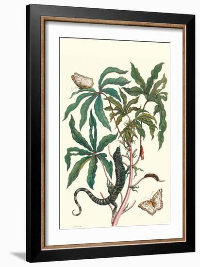 Peacock Butterfly with a Lizard-Maria Sibylla Merian-Framed Art Print