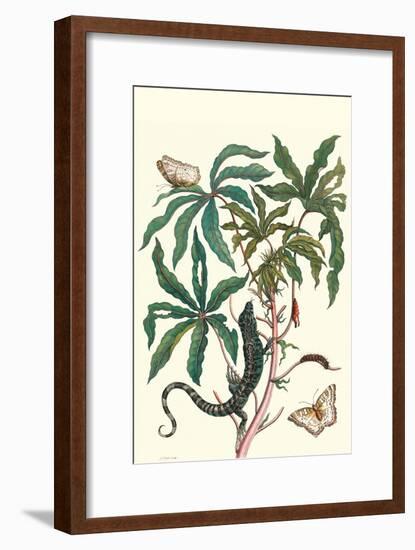 Peacock Butterfly with a Lizard-Maria Sibylla Merian-Framed Art Print