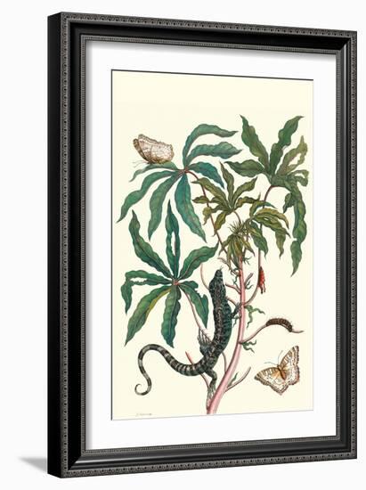 Peacock Butterfly with a Lizard-Maria Sibylla Merian-Framed Art Print