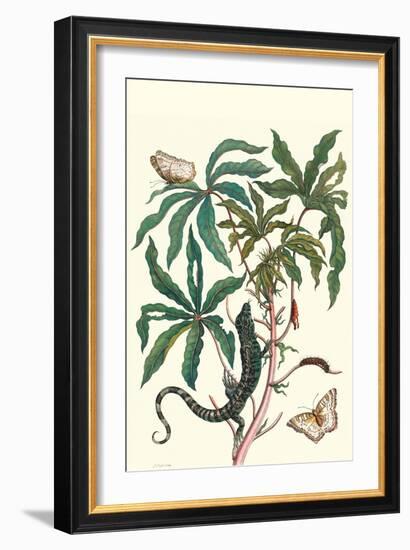 Peacock Butterfly with a Lizard-Maria Sibylla Merian-Framed Art Print