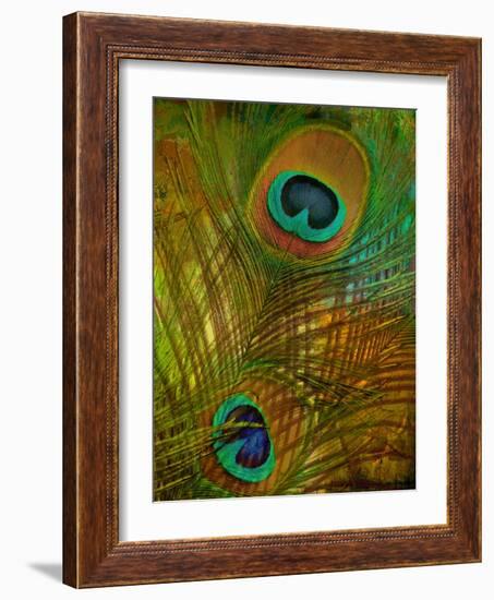 Peacock Candy II-null-Framed Giclee Print