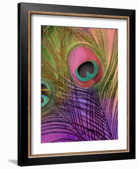 Peacock Candy III-null-Framed Giclee Print