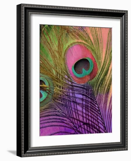 Peacock Candy III-null-Framed Giclee Print