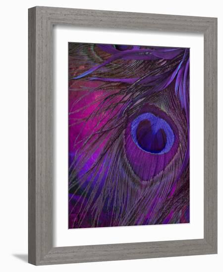 Peacock Candy IV-null-Framed Giclee Print