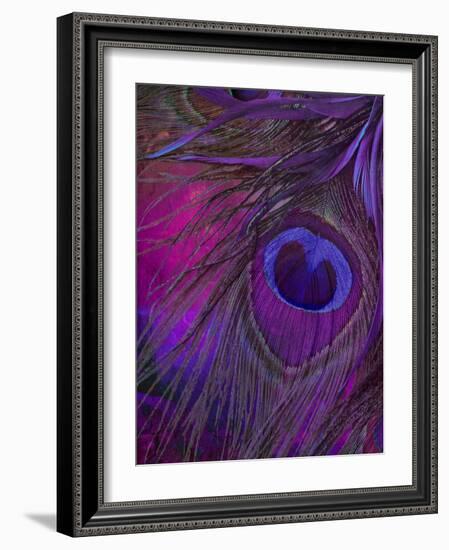 Peacock Candy IV-null-Framed Giclee Print