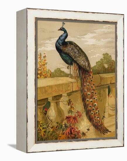 Peacock (Chromolitho)-Harrison William Weir-Framed Premier Image Canvas