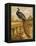 Peacock (Chromolitho)-Harrison William Weir-Framed Premier Image Canvas