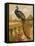 Peacock (Chromolitho)-Harrison William Weir-Framed Premier Image Canvas