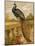 Peacock (Chromolitho)-Harrison William Weir-Mounted Giclee Print