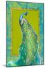 Peacock Daze II-Tiffany Hakimipour-Mounted Art Print