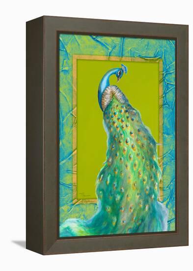 Peacock Daze II-Tiffany Hakimipour-Framed Stretched Canvas