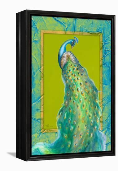 Peacock Daze II-Tiffany Hakimipour-Framed Stretched Canvas