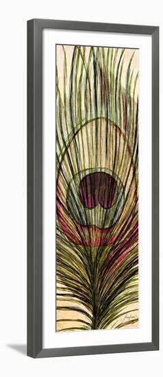 Peacock Feather I-Josefina-Framed Art Print