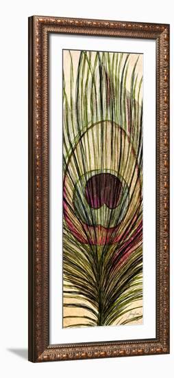 Peacock Feather I-Josefina-Framed Art Print