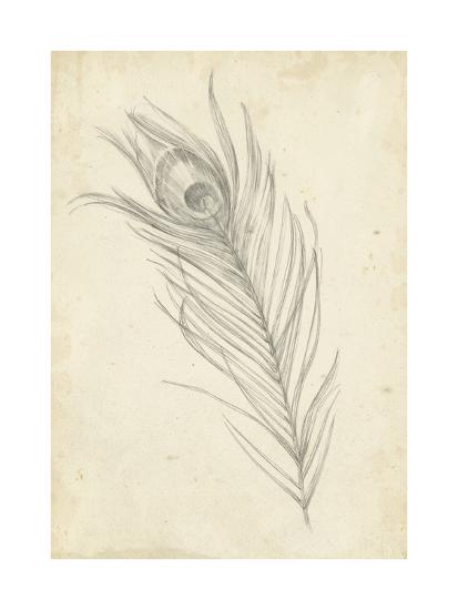 Featured image of post Peacock Feather Drawing Images Peacocks are exotically beautiful like an island flower