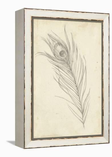 Peacock Feather Sketch I-Ethan Harper-Framed Stretched Canvas