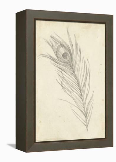 Peacock Feather Sketch I-Ethan Harper-Framed Stretched Canvas