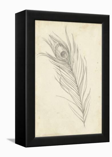 Peacock Feather Sketch I-Ethan Harper-Framed Stretched Canvas