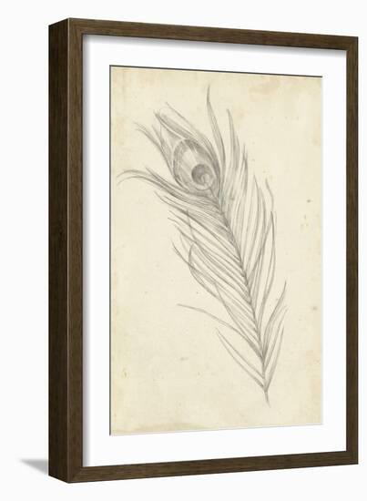 Peacock Feather Sketch I-Ethan Harper-Framed Art Print