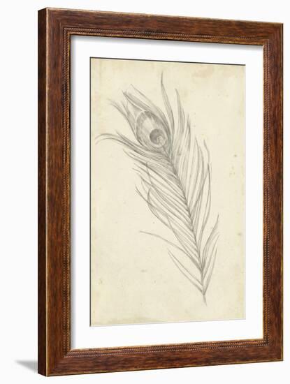 Peacock Feather Sketch I-Ethan Harper-Framed Art Print