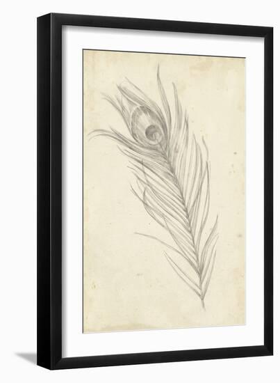 Peacock Feather Sketch I-Ethan Harper-Framed Art Print