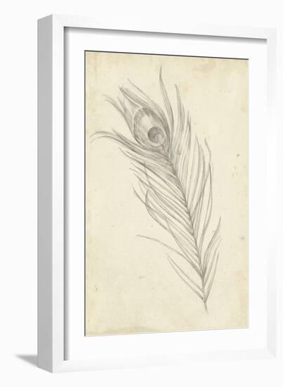 Peacock Feather Sketch I-Ethan Harper-Framed Art Print