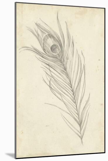 Peacock Feather Sketch I-Ethan Harper-Mounted Art Print